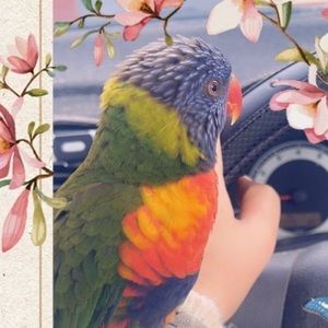 Meet your Posher, Mobin